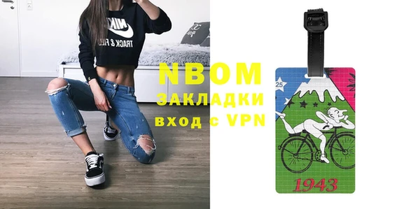 индика Алексин