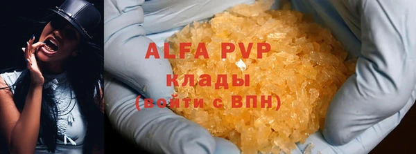 индика Алексин