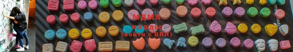 индика Алексин