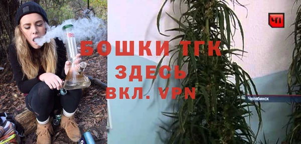 индика Алексин