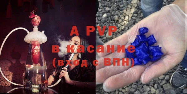 индика Алексин