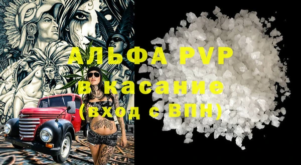 индика Алексин