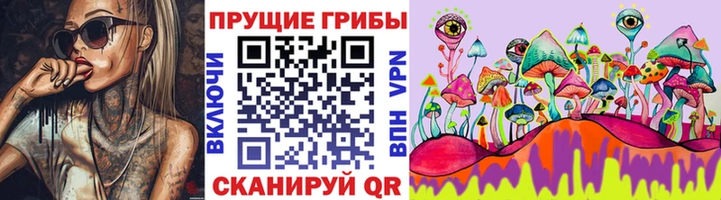 блэк спрут ссылка  где купить   Грязи  Псилоцибиновые грибы прущие грибы 